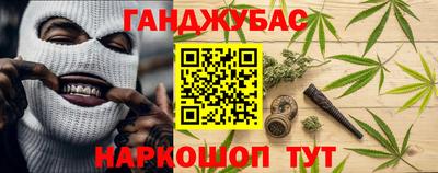 a pvp Новозыбков