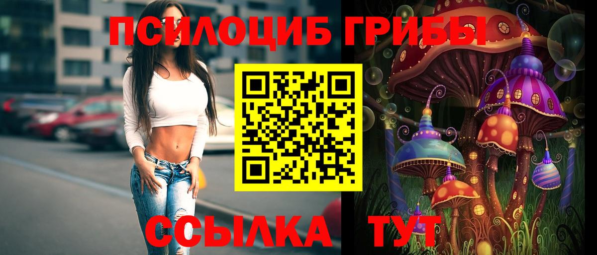 Галлюциногенные грибы Cubensis Прохладный